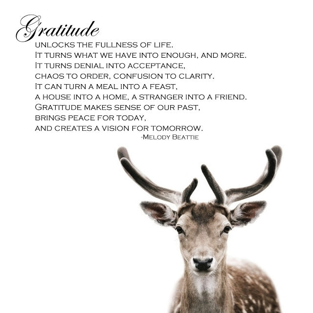 Gratitude Unlocks the Fullness of Life